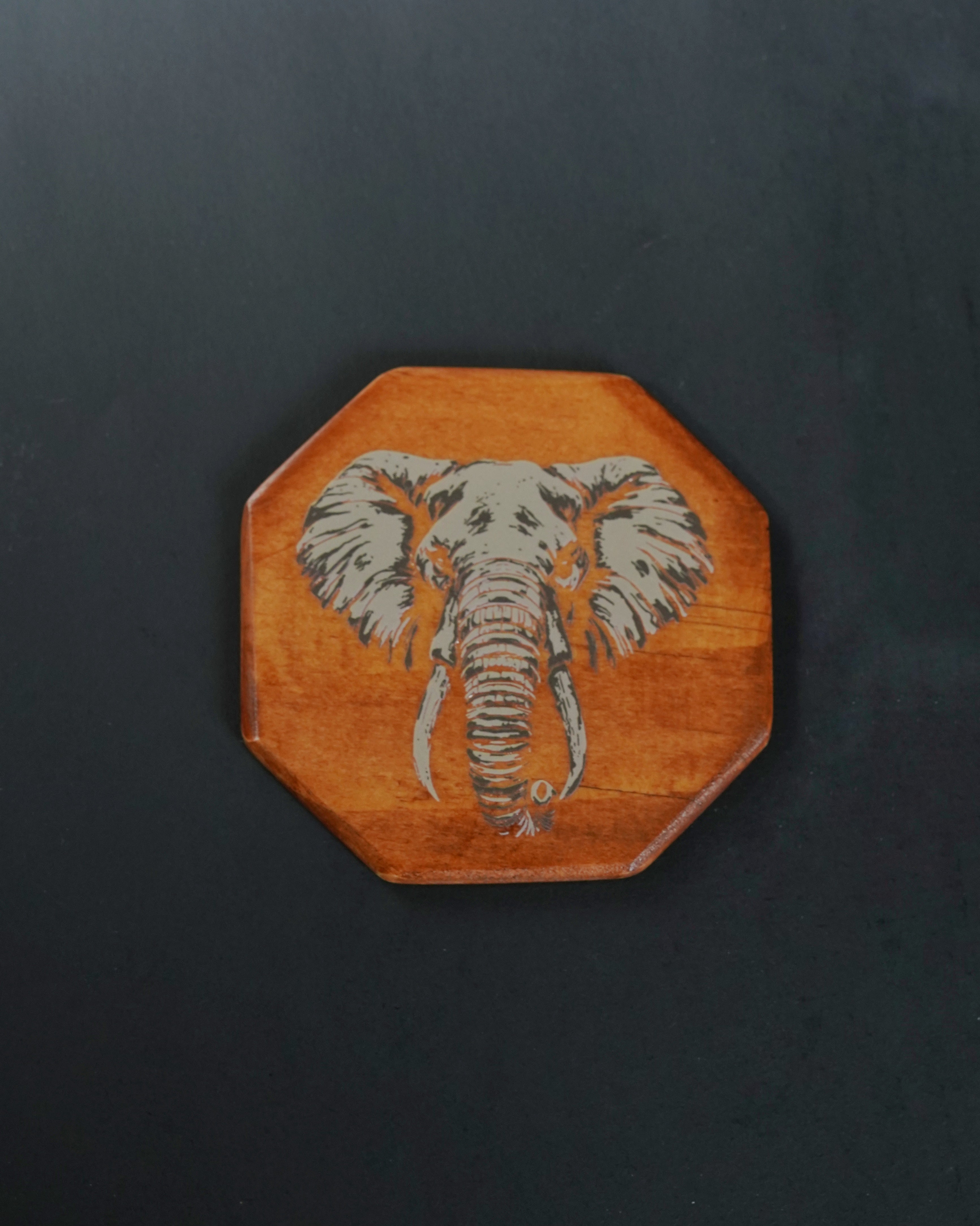 Posavasos Elefante