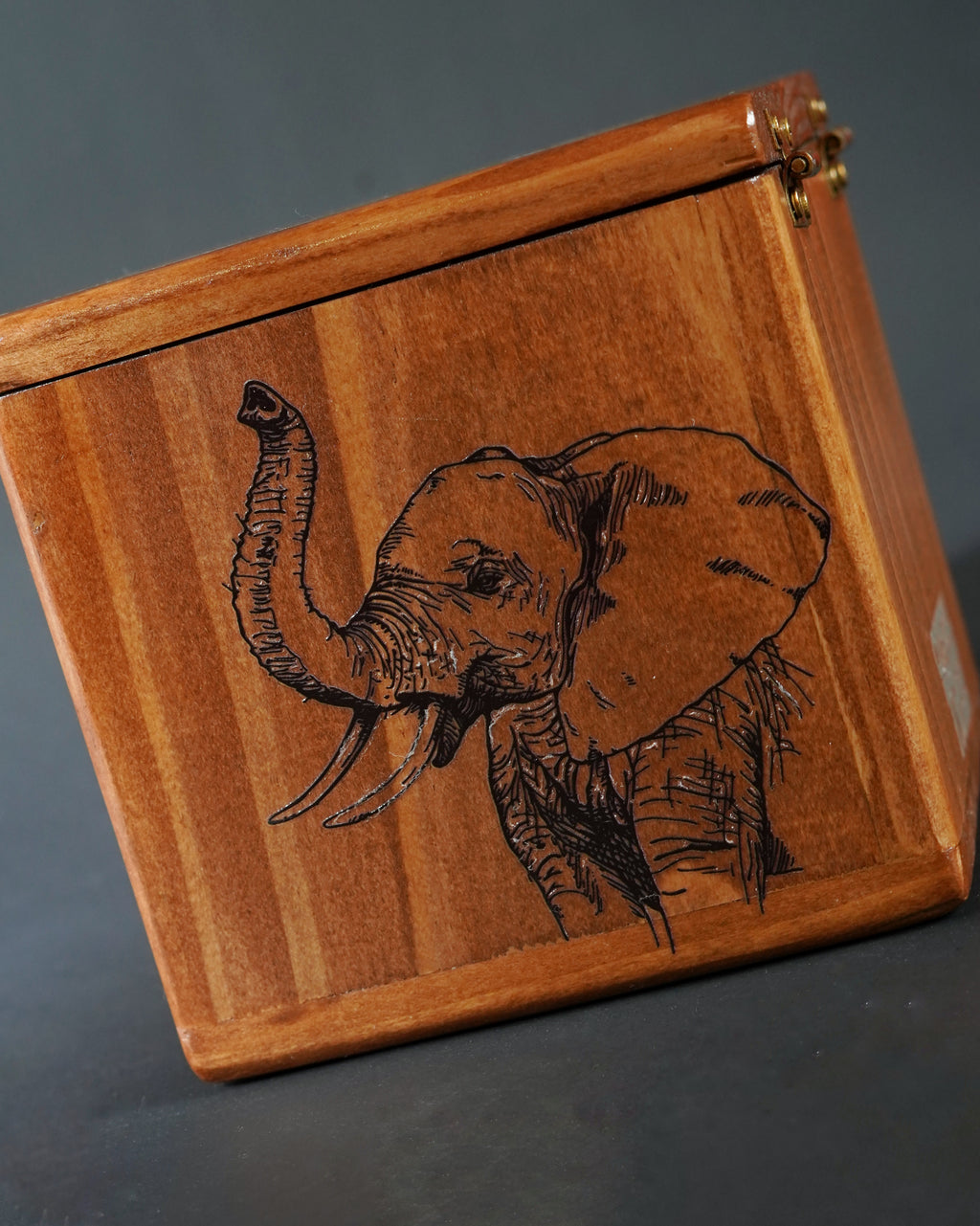 Set Whiskero Elefante