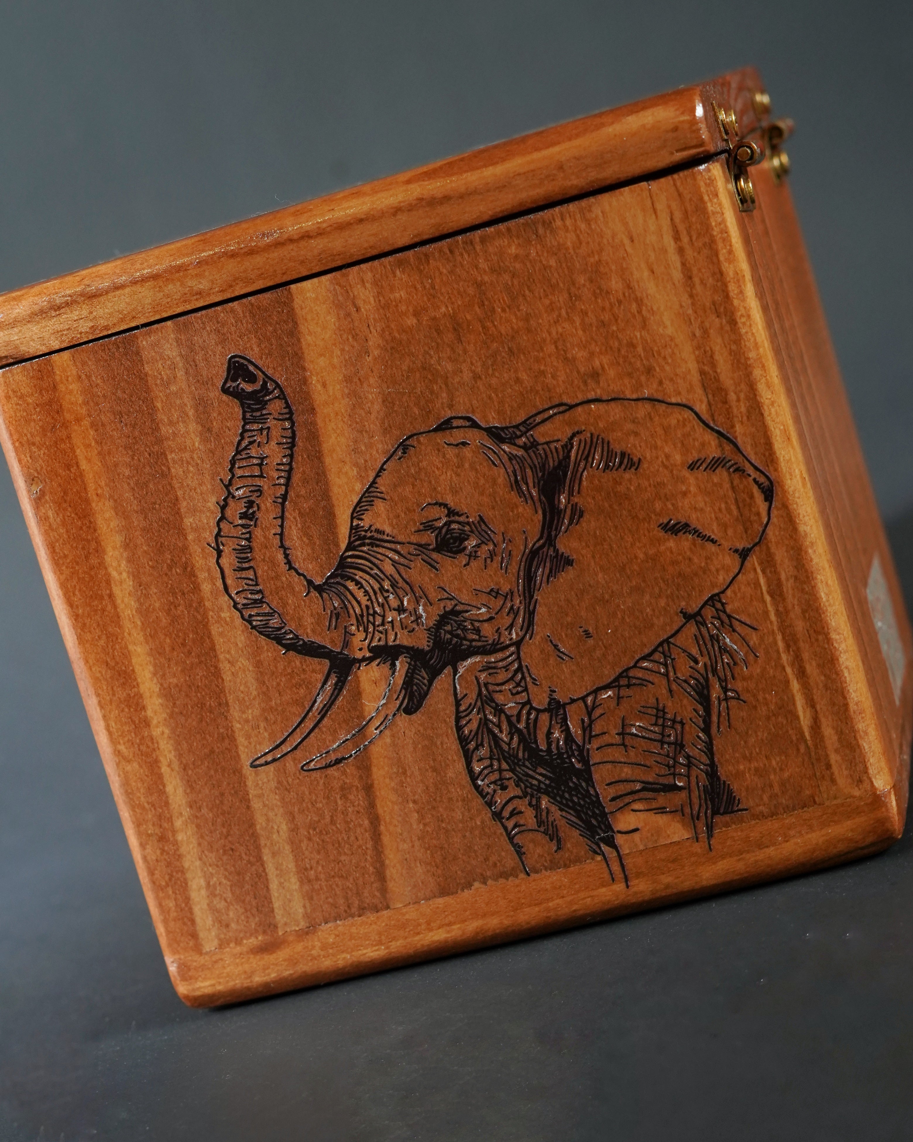 Set Whiskero Elefante