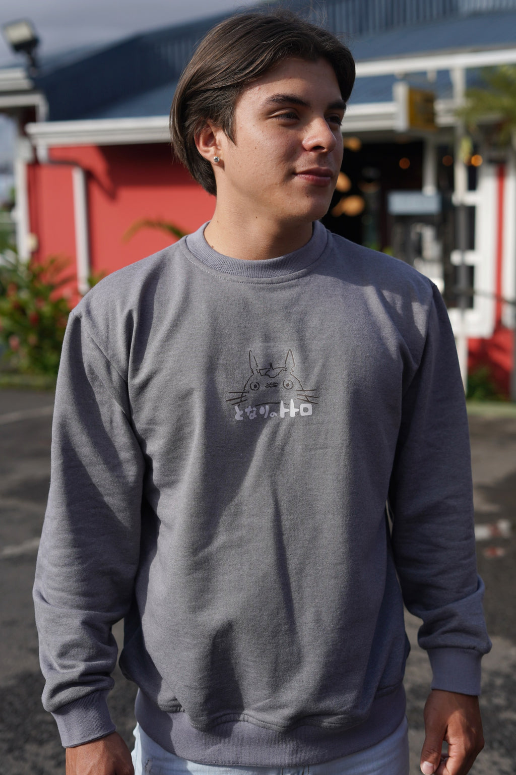 Sueter | Totoro – Crystal Tree