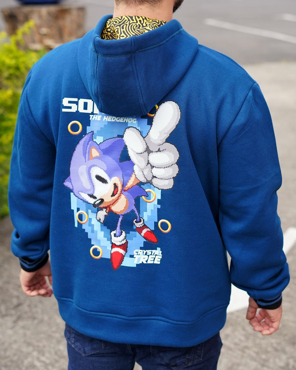 Moletons do Sonic