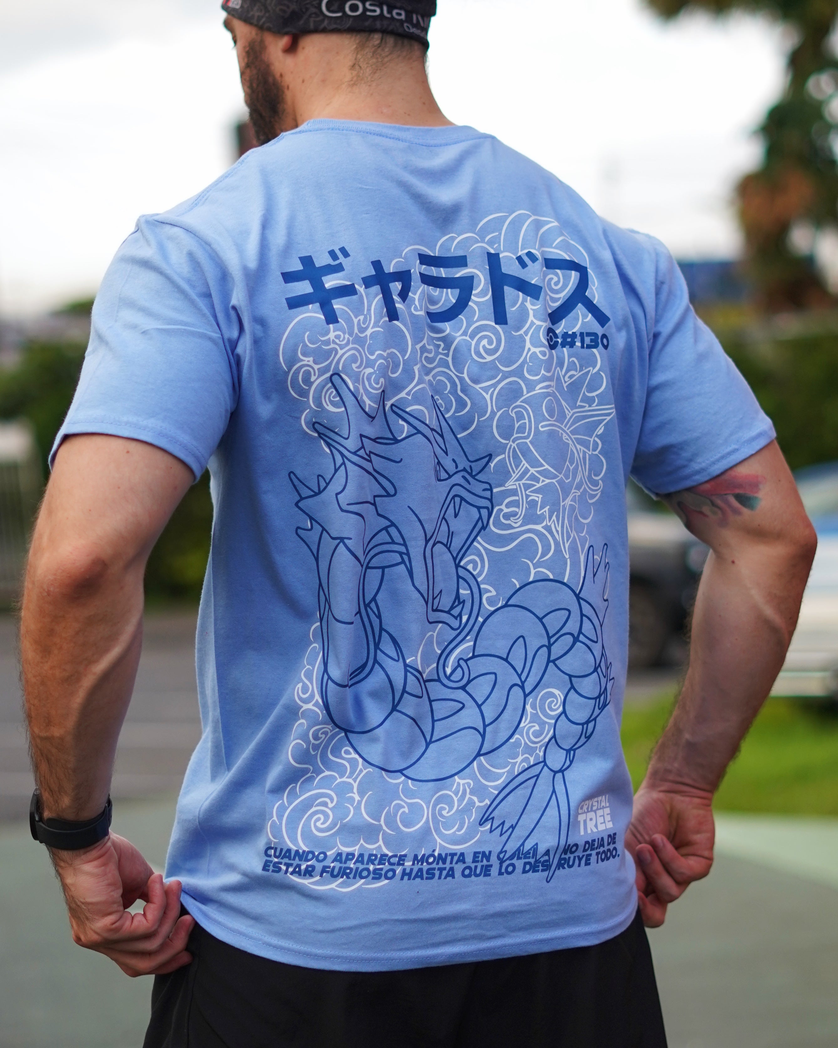Camisa Gyarados