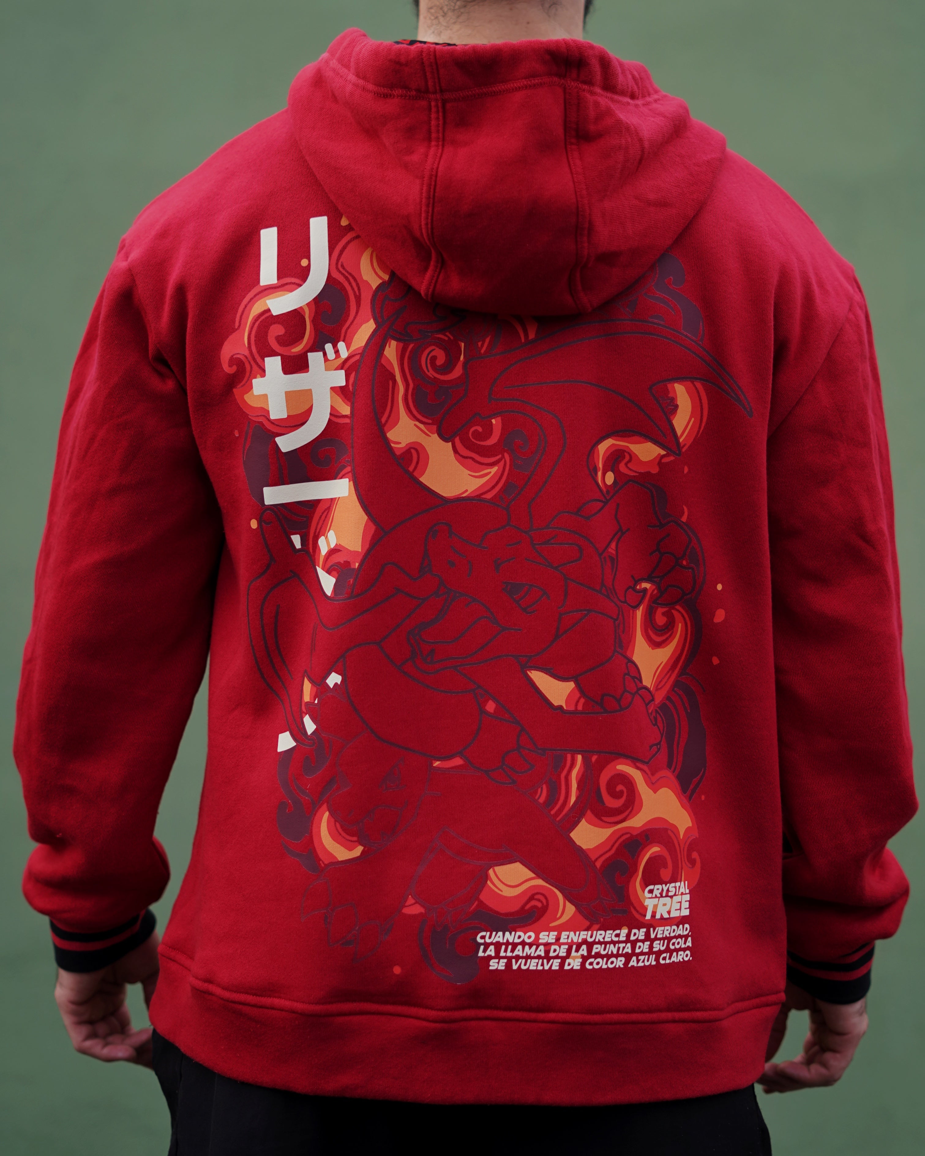 Hoodie Charizard