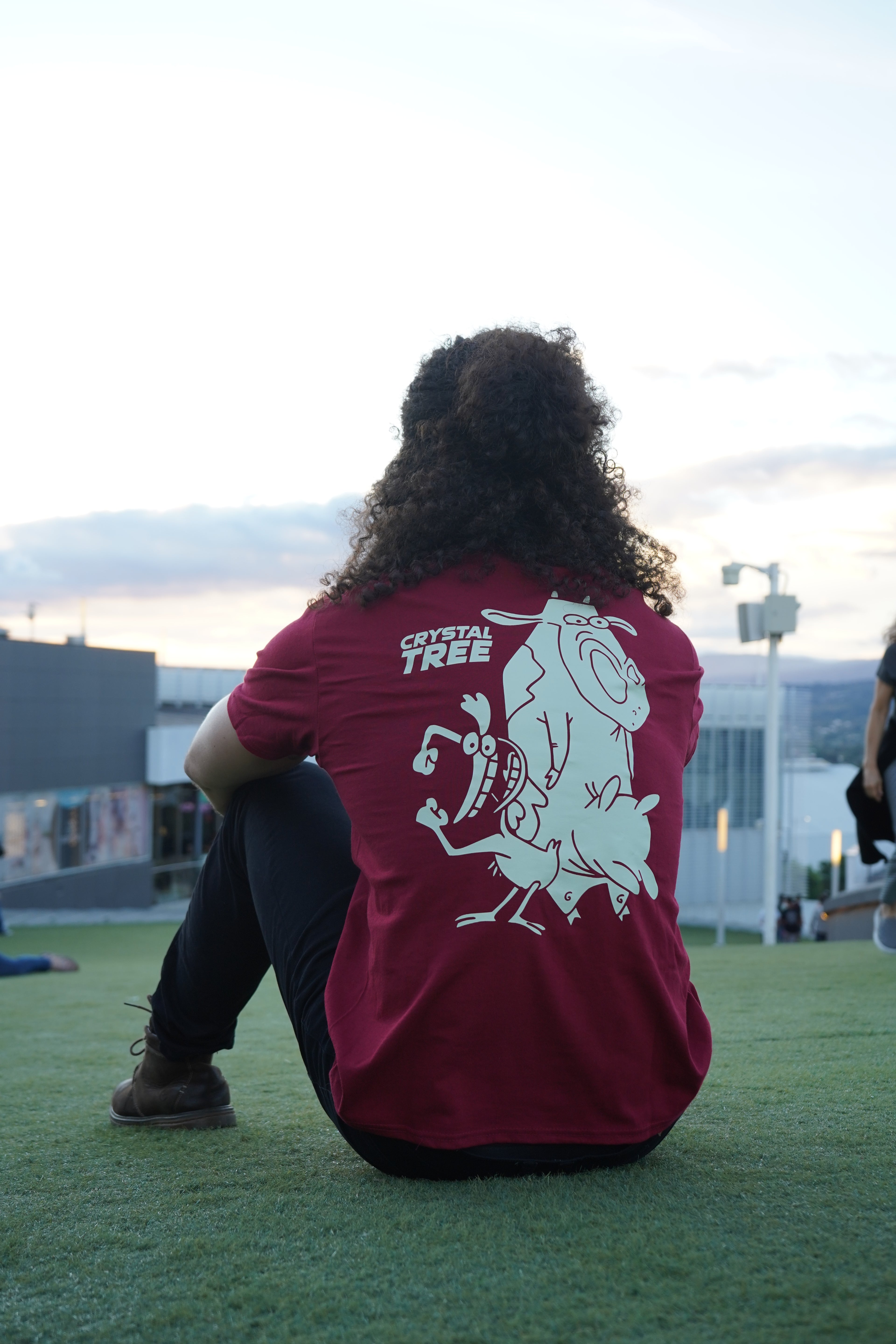 Combo 1 Black Friday