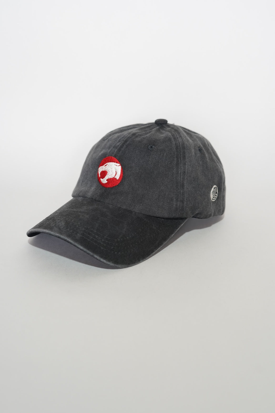 Dad Cap Thundercats