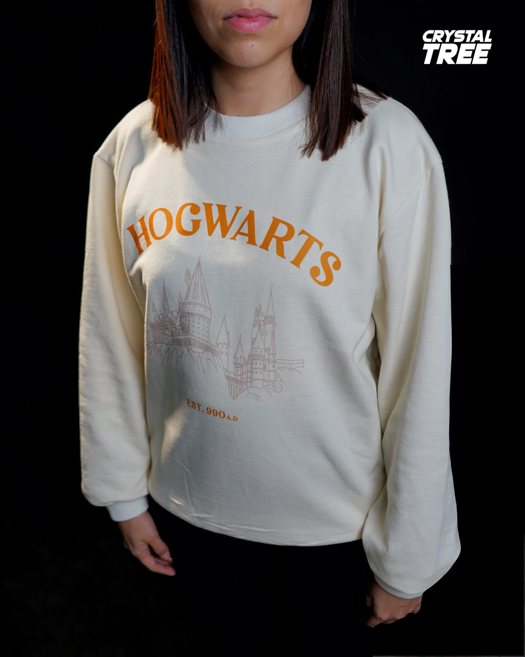Sueter Hogwarts