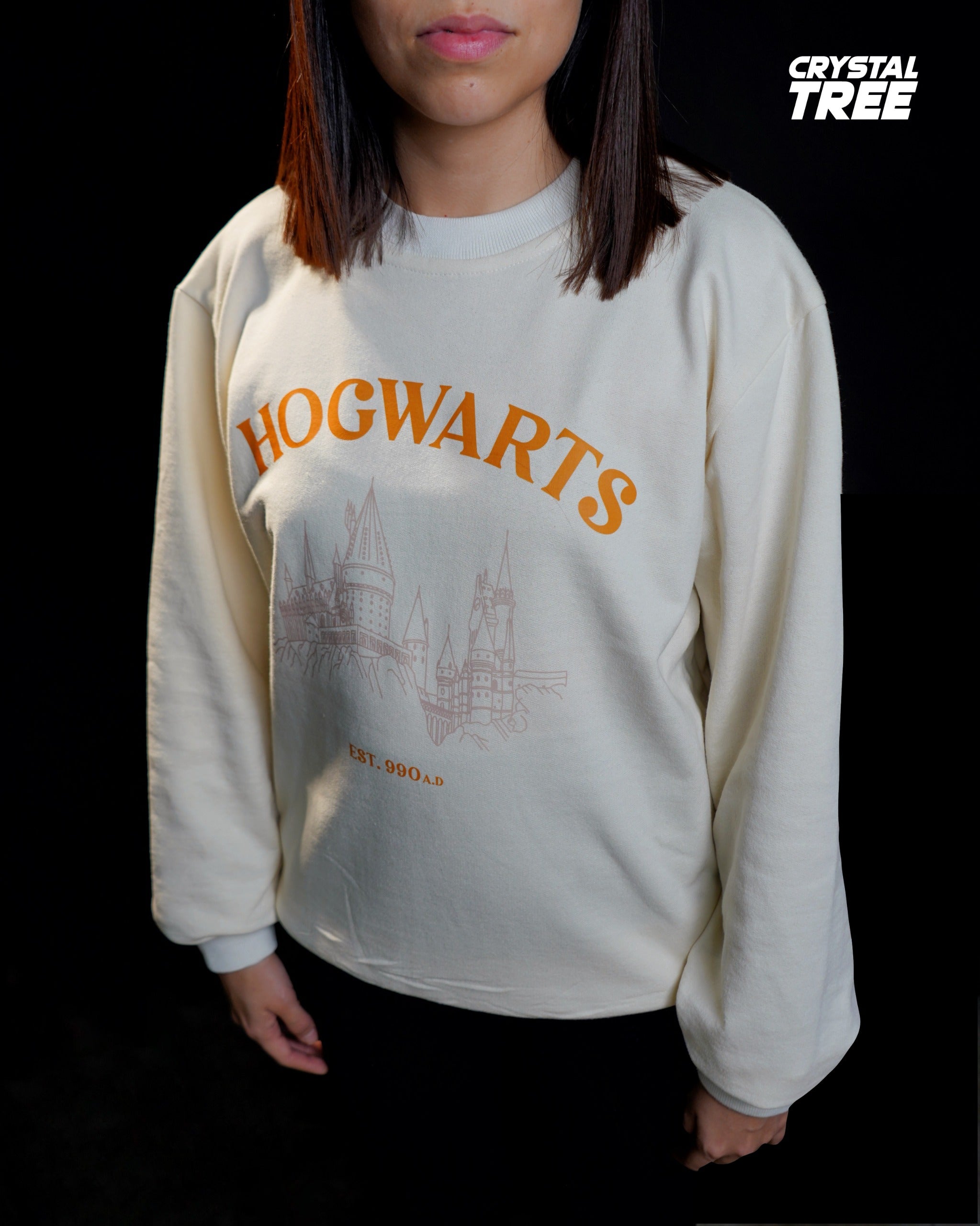 Sueter Hogwarts