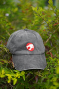 Boné de pai Thundercats