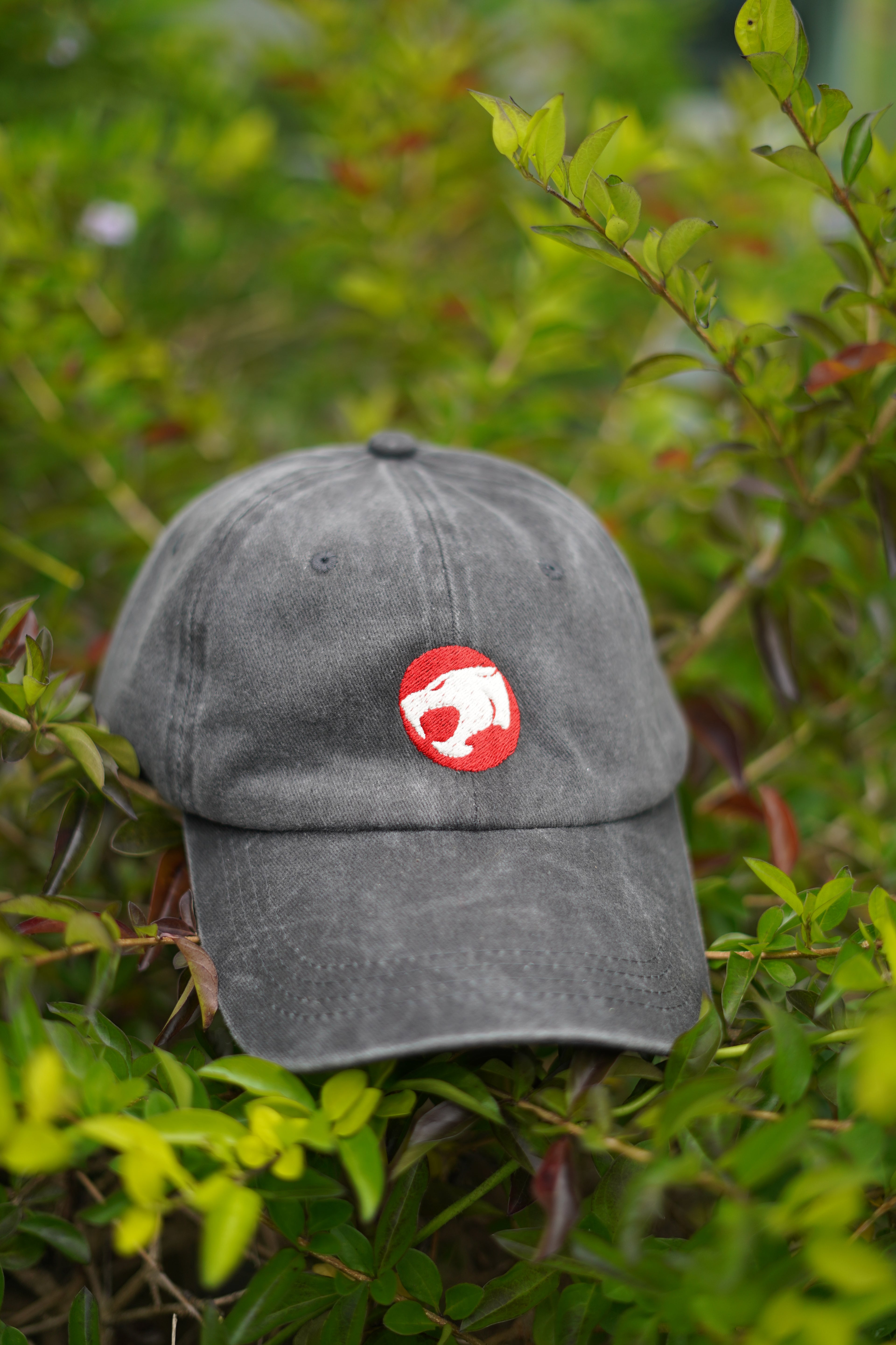 Dad Cap Thundercats