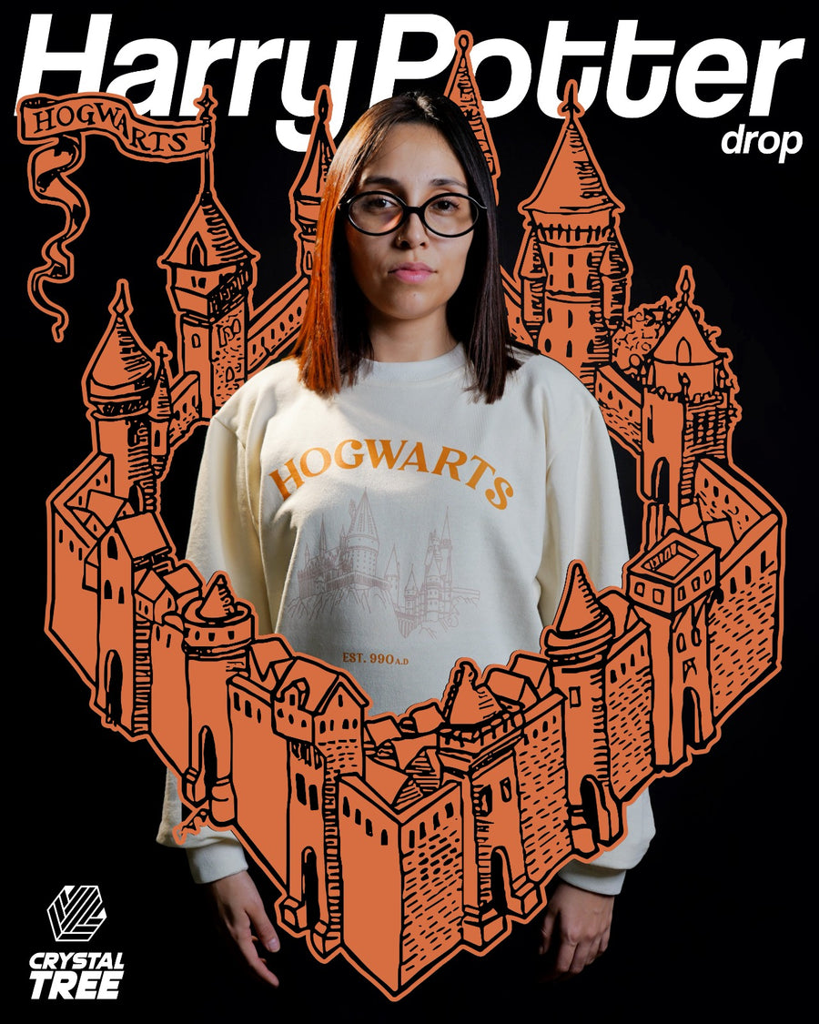 Sueter Hogwarts